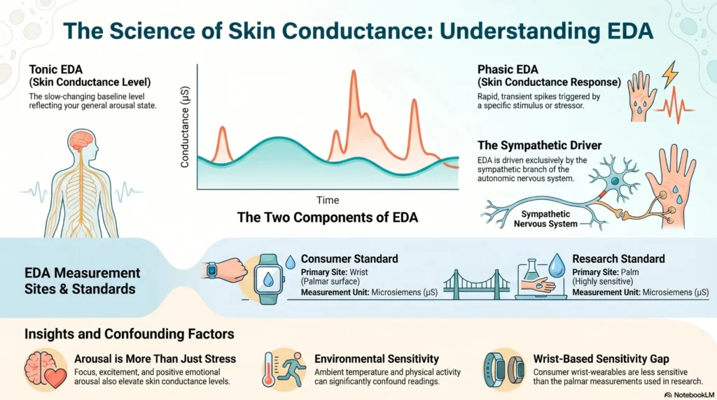 infographic explaining electrodermal activity EDA skin conductance tonic and phasic responses with wearable measurement standards
